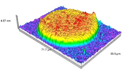 NATURE COMMUNICATIONS-Multiplexed biomimetic lipid